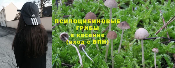 бошки Богданович